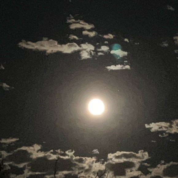 Meet your Posher, Julian - Picture 1 of 1